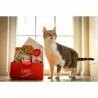 Schnupperpaket Katzen 810g (1 Paket mit verschiedenen Sorten / Testpackungen)